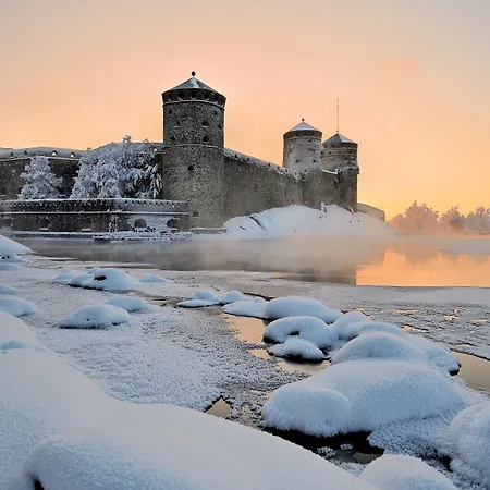 オリジナル ソコス セウラウオネ ホテル