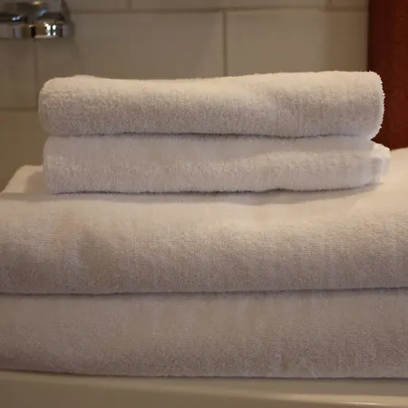 ホテル オリジナル ソコス セウラウオネ