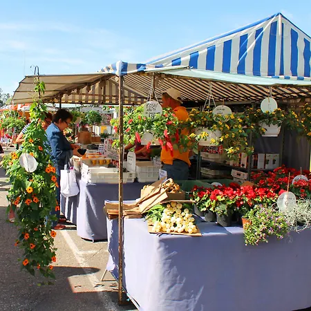 オリジナル ソコス セウラウオネ 4*